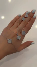 سرویس کامل ونکلیف - تصویر 2