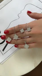 سرویس کامل ونکلیف